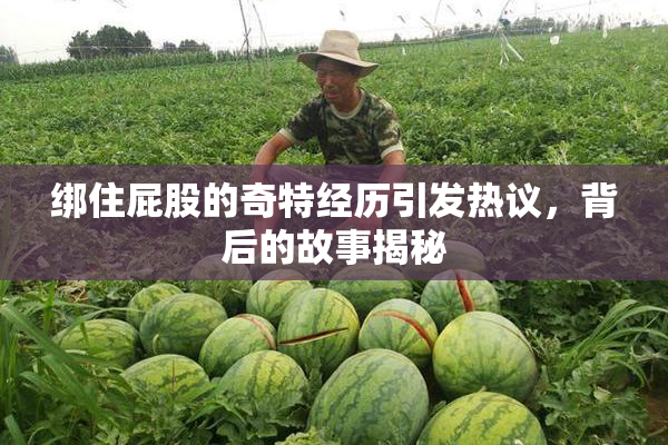 绑住屁股的奇特经历引发热议，背后的故事揭秘
