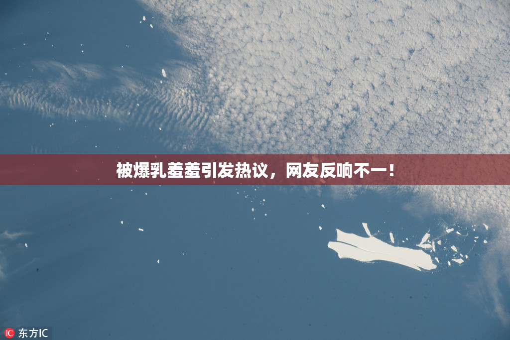 被爆乳羞羞引发热议，网友反响不一！