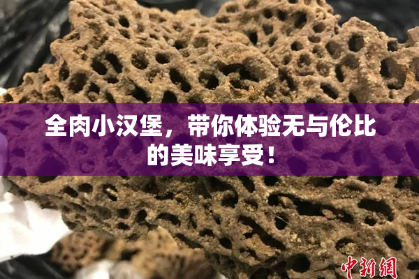 全肉小汉堡，带你体验无与伦比的美味享受！