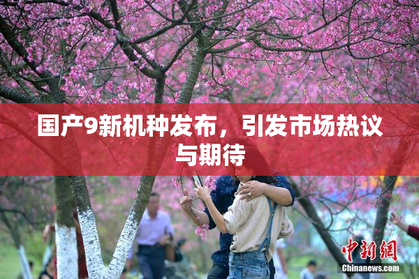 国产9新机种发布，引发市场热议与期待