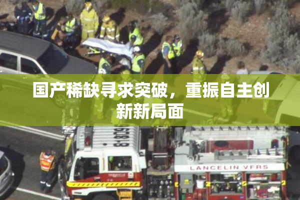 国产稀缺寻求突破，重振自主创新新局面