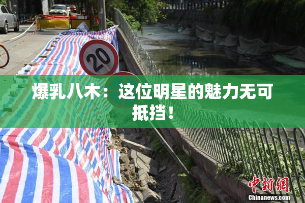 爆乳八木：这位明星的魅力无可抵挡！