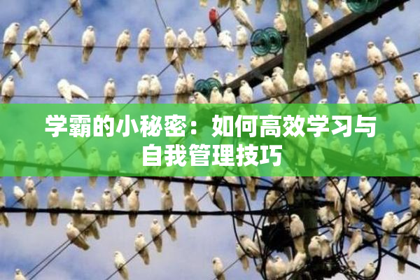 学霸的小秘密：如何高效学习与自我管理技巧