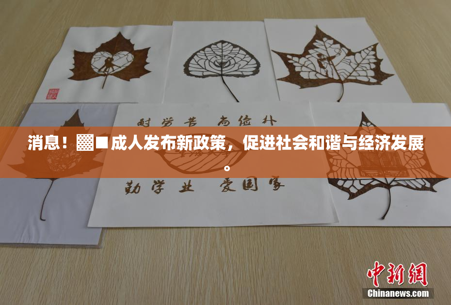 消息！▓■成人发布新政策，促进社会和谐与经济发展。