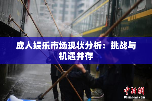 成人娱乐市场现状分析：挑战与机遇并存