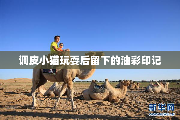 调皮小猫玩耍后留下的油彩印记