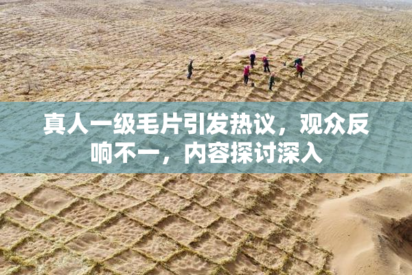 真人一级毛片引发热议，观众反响不一，内容探讨深入