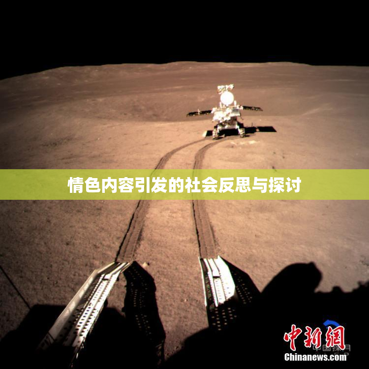 情色内容引发的社会反思与探讨