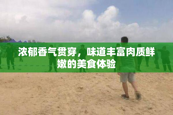 浓郁香气贯穿，味道丰富肉质鲜嫩的美食体验