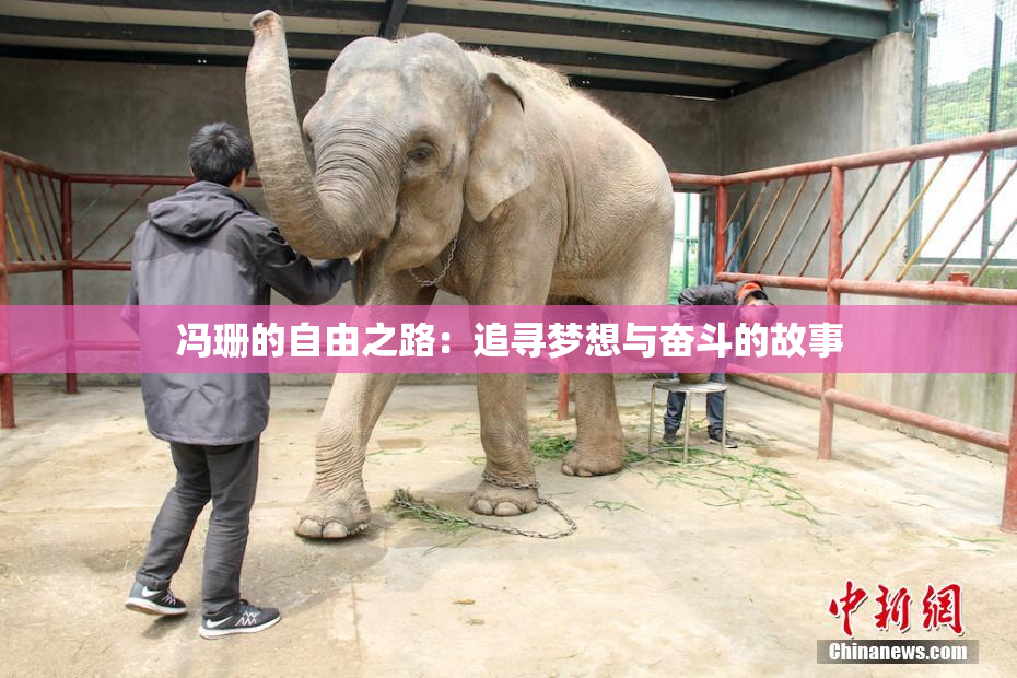 冯珊的自由之路：追寻梦想与奋斗的故事