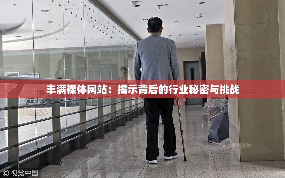 丰满裸体网站：揭示背后的行业秘密与挑战