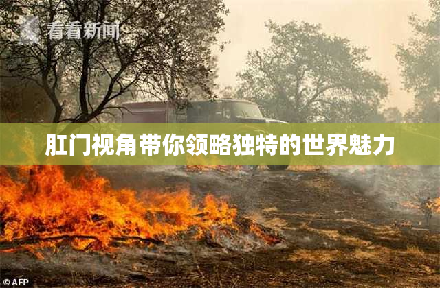 肛门视角带你领略独特的世界魅力