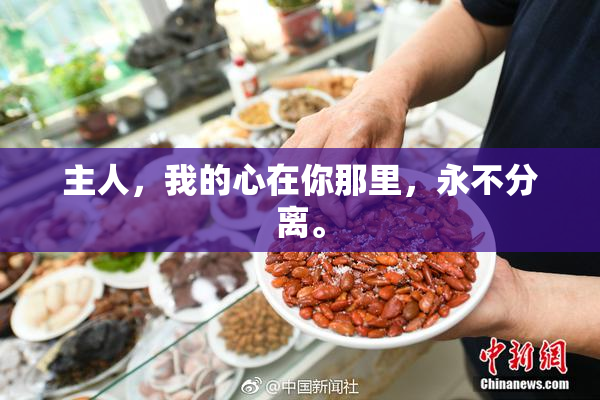 主人，我的心在你那里，永不分离。