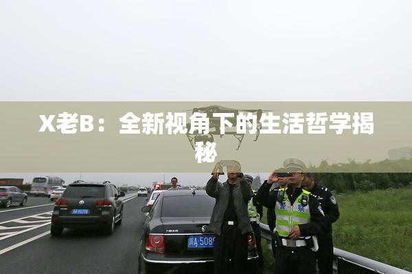 X老B：全新视角下的生活哲学揭秘
