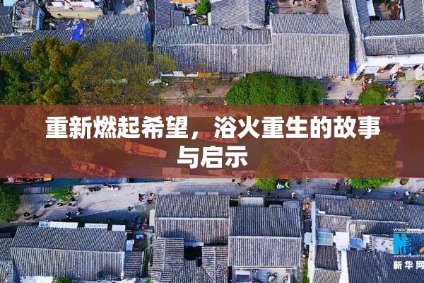 重新燃起希望，浴火重生的故事与启示