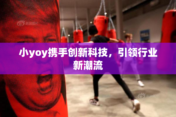 小yoy携手创新科技，引领行业新潮流