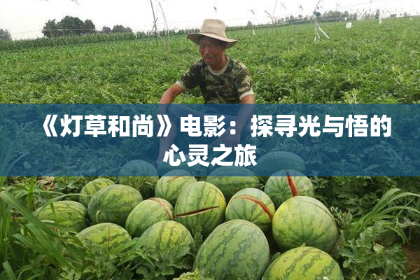 《灯草和尚》电影：探寻光与悟的心灵之旅