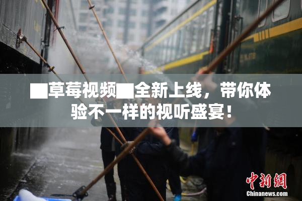 ▇草莓视频▇全新上线，带你体验不一样的视听盛宴！