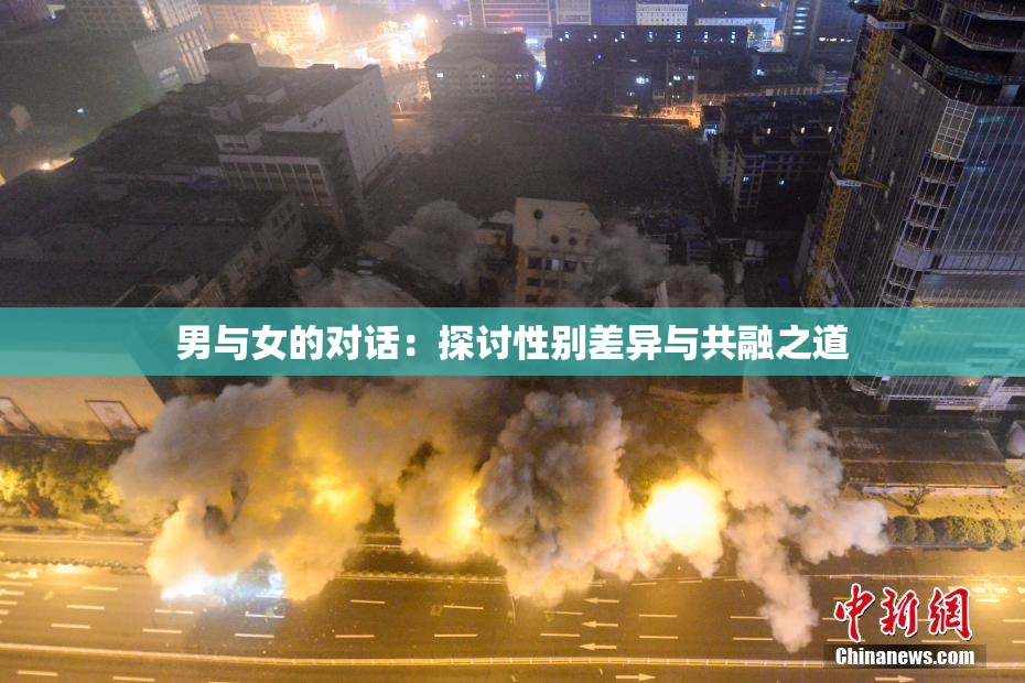 男与女的对话：探讨性别差异与共融之道