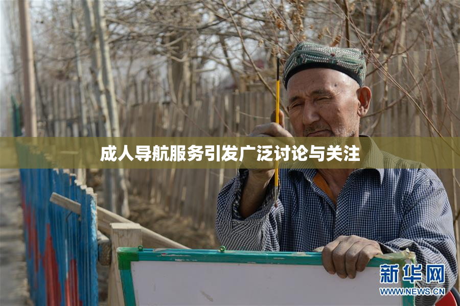 成人导航服务引发广泛讨论与关注