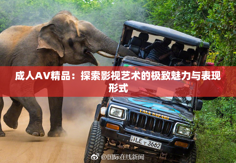 成人AV精品：探索影视艺术的极致魅力与表现形式