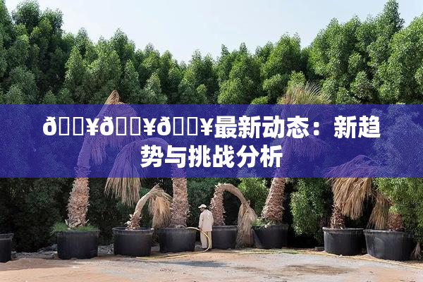 🔥🔥🔥最新动态：新趋势与挑战分析