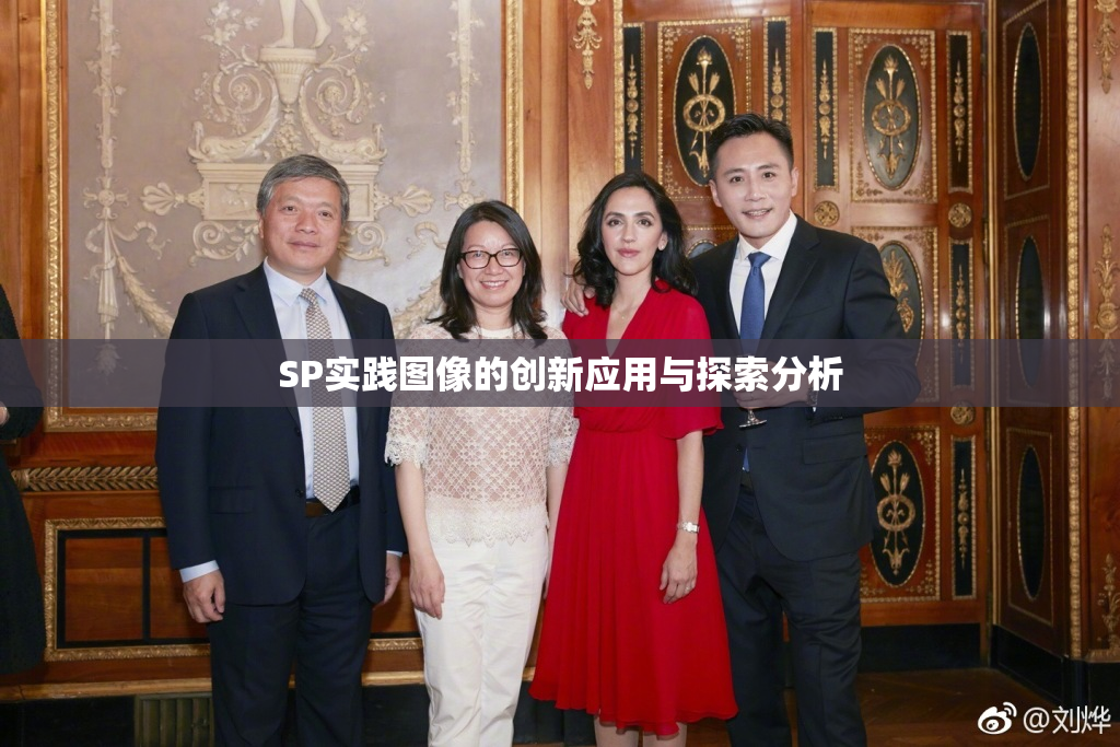 SP实践图像的创新应用与探索分析