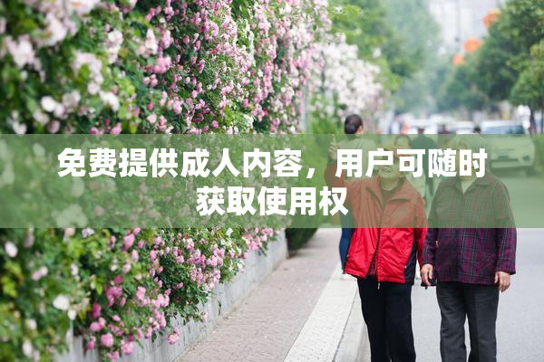 免费提供成人内容，用户可随时获取使用权
