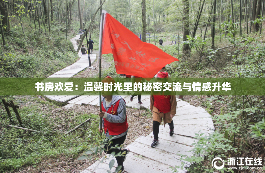 书房欢爱：温馨时光里的秘密交流与情感升华