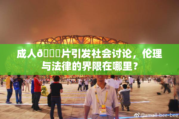成人🔞片引发社会讨论，伦理与法律的界限在哪里？
