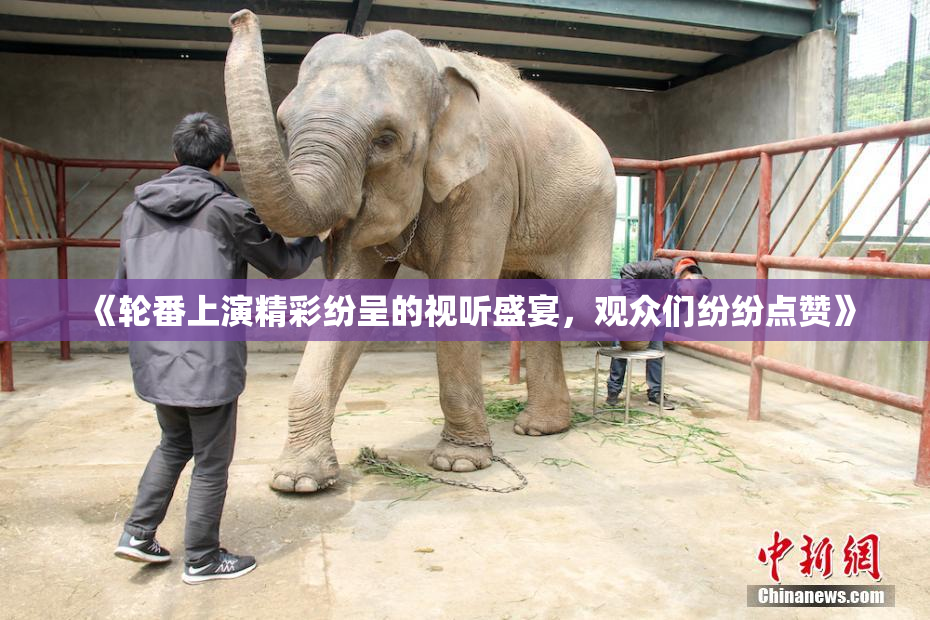 《轮番上演精彩纷呈的视听盛宴，观众们纷纷点赞》