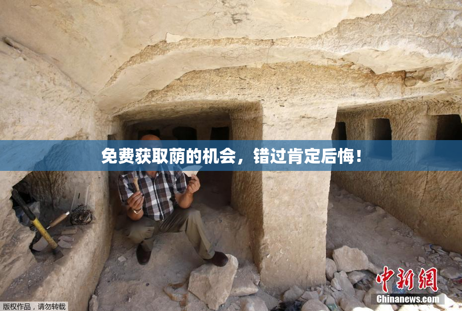 免费获取荫的机会，错过肯定后悔！