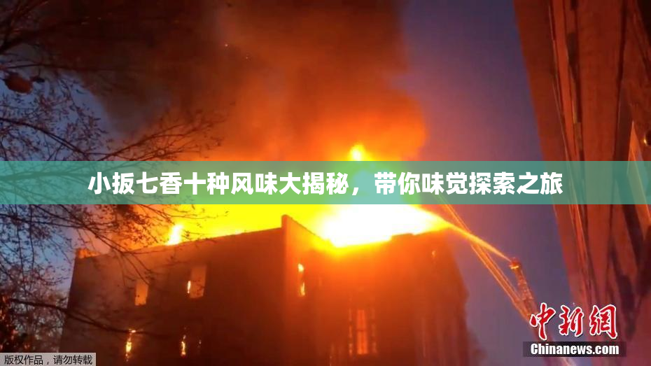 小扳七香十种风味大揭秘，带你味觉探索之旅