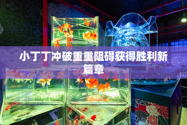 小丁丁冲破重重阻碍获得胜利新篇章