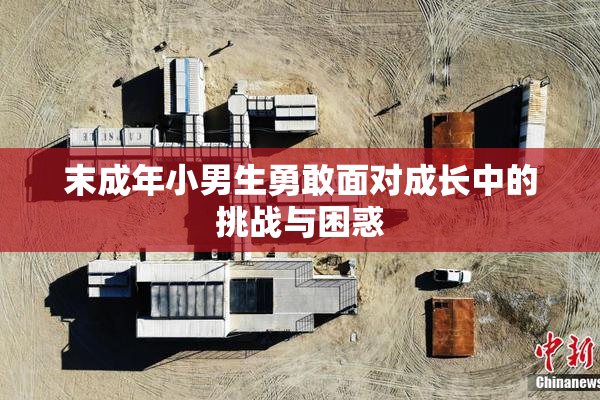 末成年小男生勇敢面对成长中的挑战与困惑