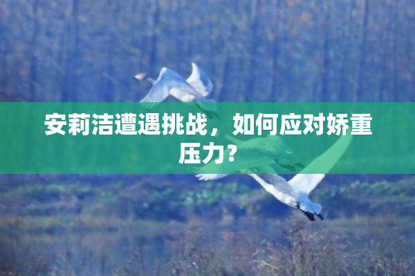 安莉洁遭遇挑战，如何应对娇重压力？