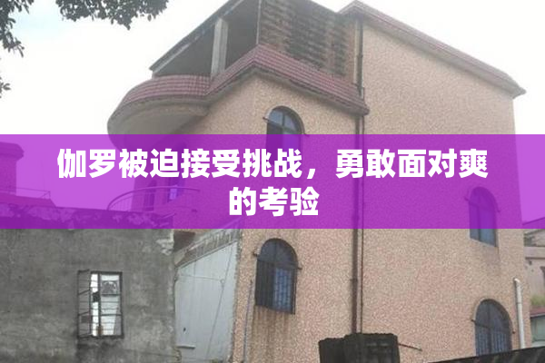 伽罗被迫接受挑战，勇敢面对爽的考验