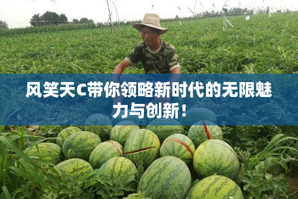 风笑天C带你领略新时代的无限魅力与创新！