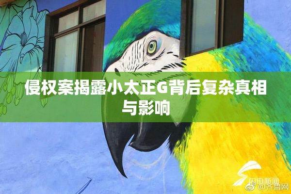 侵权案揭露小太正G背后复杂真相与影响
