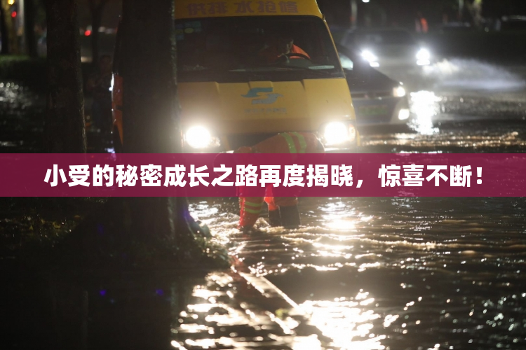 小受的秘密成长之路再度揭晓，惊喜不断！