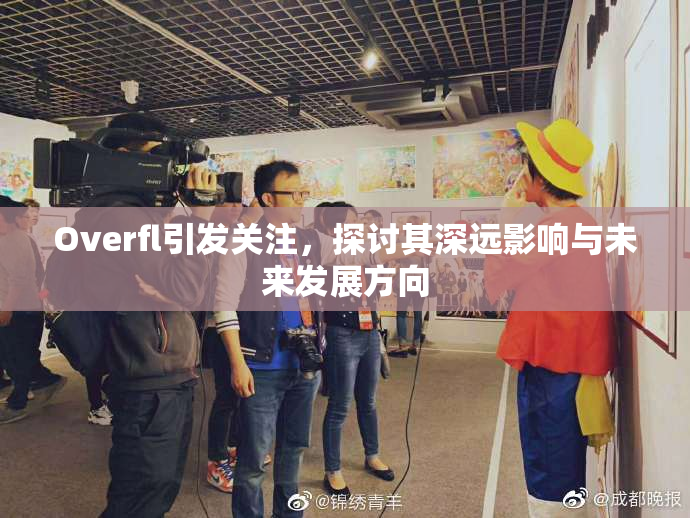 Overfl引发关注，探讨其深远影响与未来发展方向