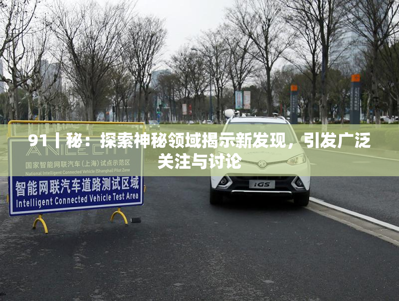 91丨秘：探索神秘领域揭示新发现，引发广泛关注与讨论