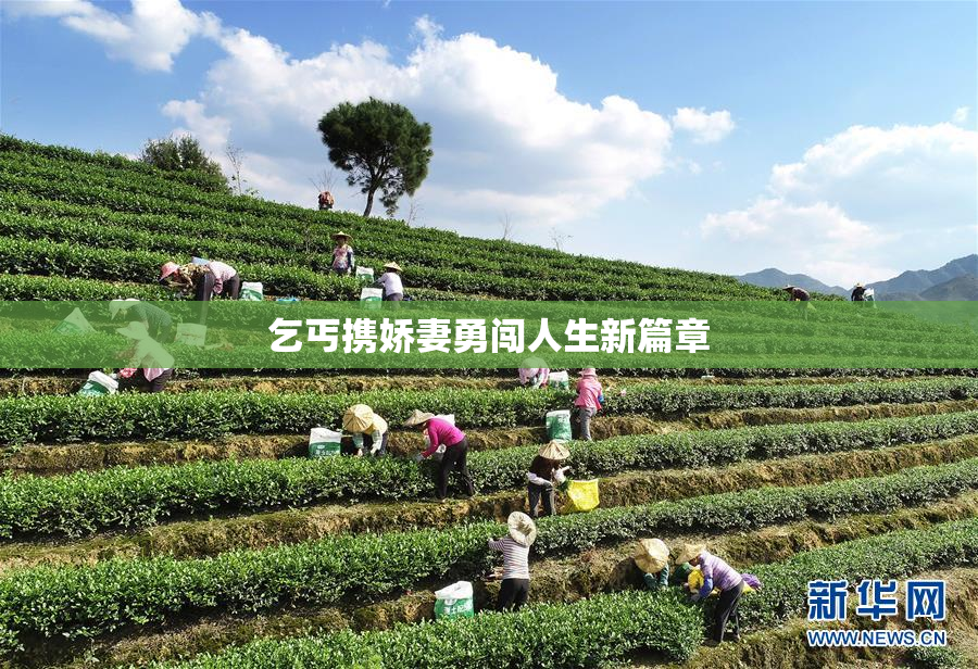 乞丐携娇妻勇闯人生新篇章