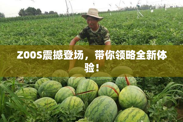 Z00S震撼登场，带你领略全新体验！