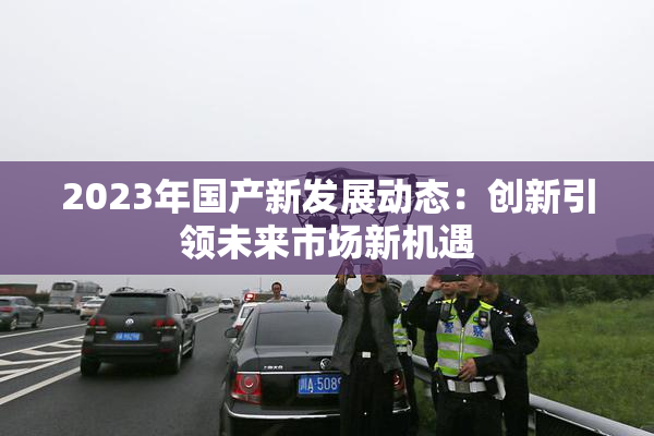 2023年国产新发展动态：创新引领未来市场新机遇