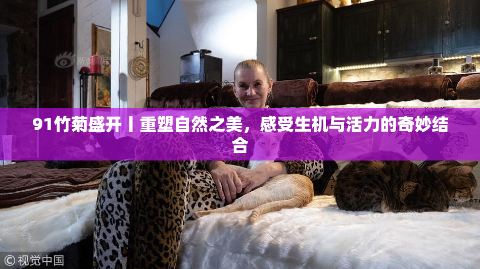 91竹菊盛开丨重塑自然之美，感受生机与活力的奇妙结合