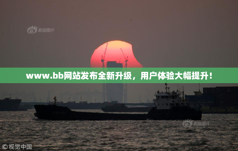 www.bb网站发布全新升级，用户体验大幅提升！
