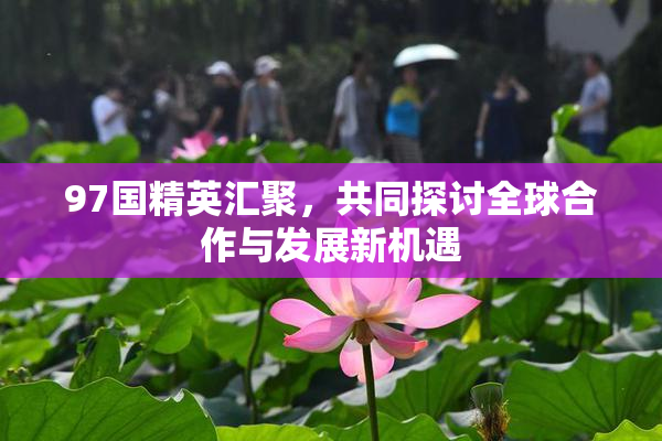 97国精英汇聚，共同探讨全球合作与发展新机遇