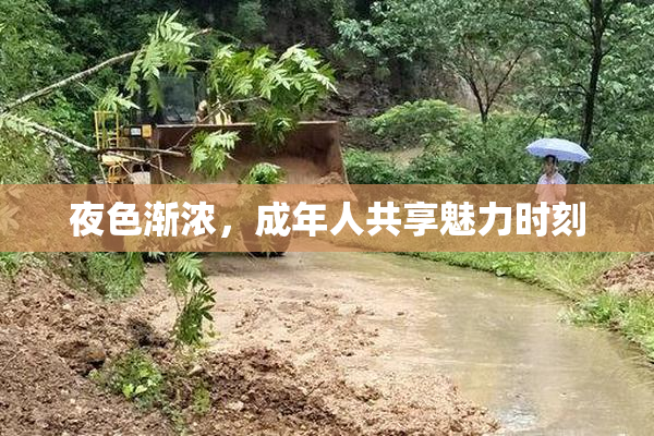 夜色渐浓，成年人共享魅力时刻