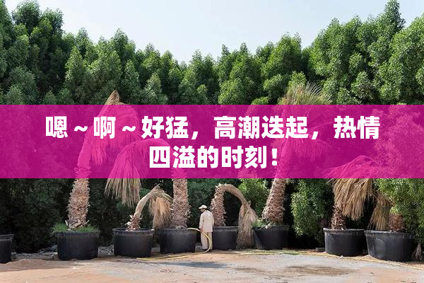 嗯～啊～好猛，高潮迭起，热情四溢的时刻！